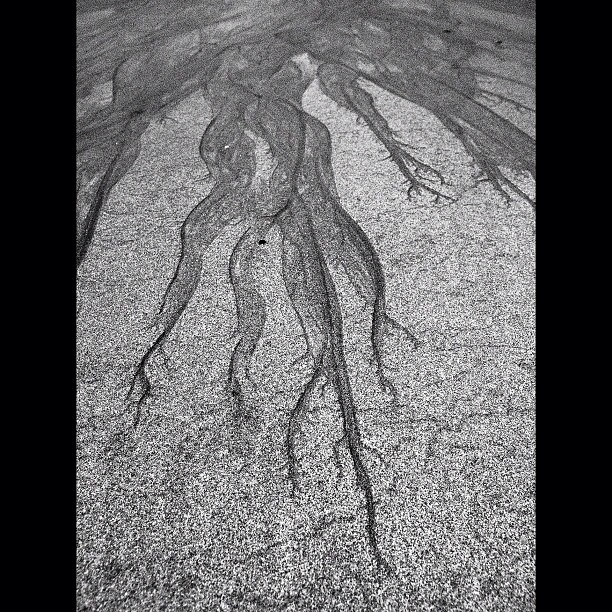 The surface of the sand / #sea #bw #blackandwhite #monochrome