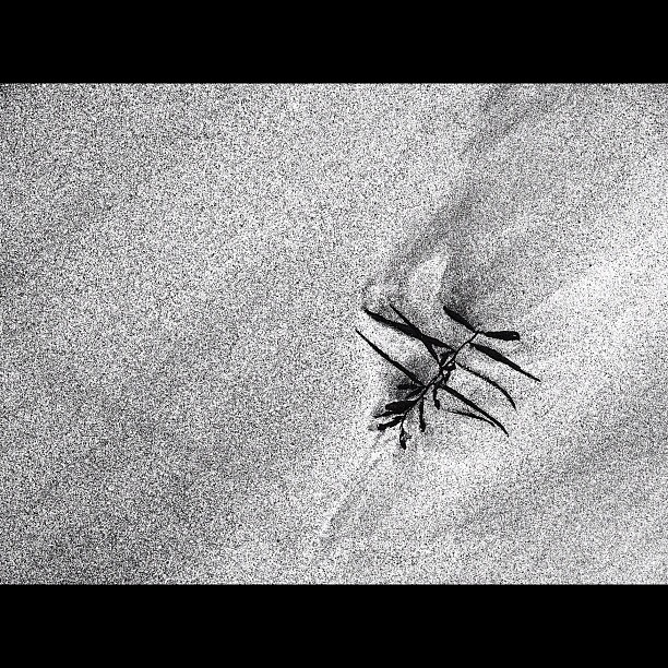 The surface of the sand / #sea #bw #blackandwhite #monochrome