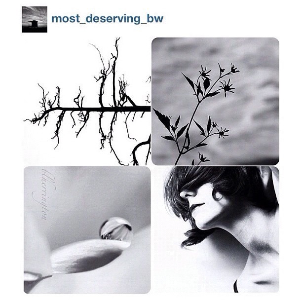 MOST DESERVING BW Artists of the Day
Most thankful @most_deserving_bw really appreciate!!
Congrats to @fargadesign_mono
Congrats to @briebrie1717 & @lightheroine