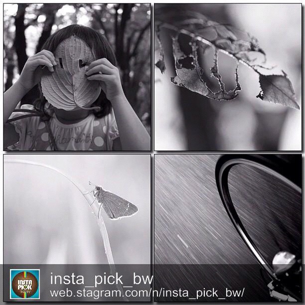 Insta_Pick_BW Featured BW ArtistWow! wonderful surprise! Thanks you @insta_pick_bw really appreciate!I am honored and so Happy! This is a great selection and arrangement. I'm glad in it!
