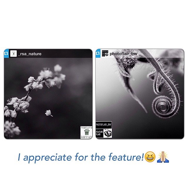 _RSA_Nature and Photoflair_bw FEATURE!