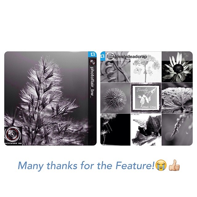 PHOTOFLAIR_BW_ and Lovelydeadcrap FEATURE!