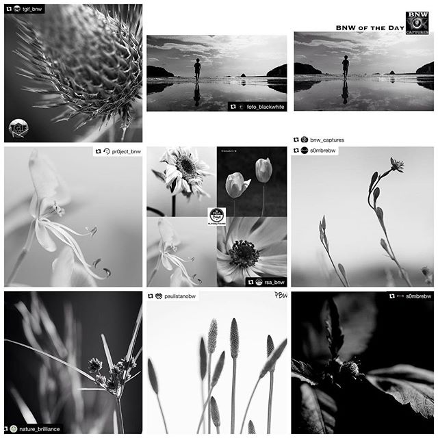 Huge thanks for the FEATURES!I really appreciate for the featuring of my photos! It's great honor!@tgif_bnw #tgif_bnw @foto_blackwhite #foto_blackwhite @bnw_captures #bnw_captures@pr0ject_bnw #pr0ject_bnw @rsa_bnw #rsa_bnw (BL) @s0mbrebw #sombrebw @nature_brilliance #nature_brilliance @paulistanobw #paulistanobw @s0mbrebw #sombrebw Hey guys! Please check out Amazing feed!!★no need likes and comments, Thank you friends for your support!