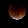#lunar #eclipseBGM は#kalafina の#redmoon で…..#worldcaptures #royalsnappingartists#myighub #Bnw_captures #bnw_fabulous #all_bnwshots #sombrebw #friendsinbnw #Rustlord_unity #bnw_lombardia_member #modefinedbw #insta_pick_bw  #pr0ject_bnw #trb_bnw #tgif_bnw #foto_blackwhite #dof_addicts #great_bnw_nature #bnw_sweden #igs_bnw #fingerprintofgod #naturehippys_ #Nature_brilliance_bnw #GrammerCollective #bwgrammer