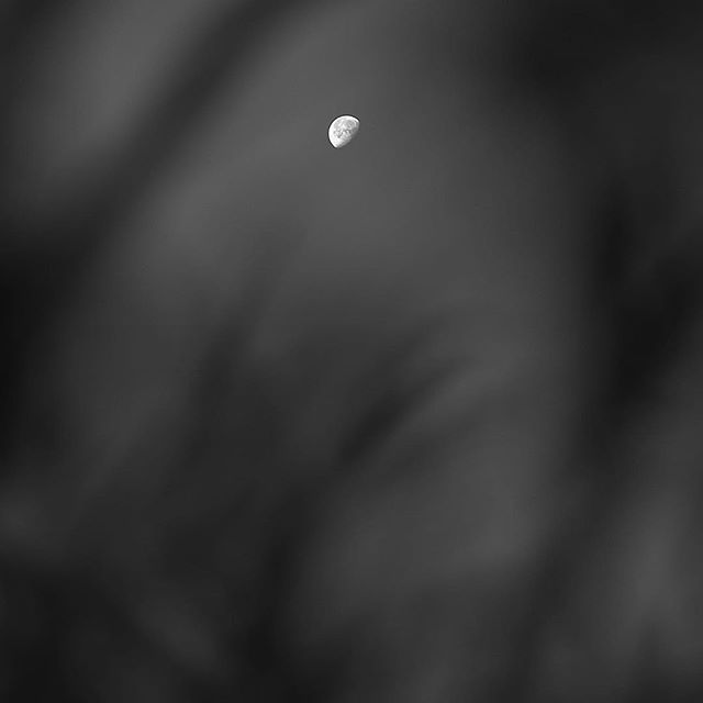 The waning moon